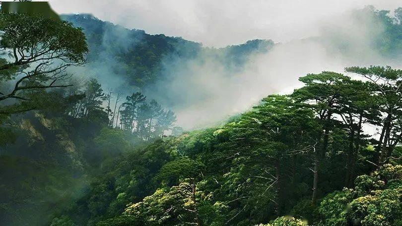 逃离沙漠小镇