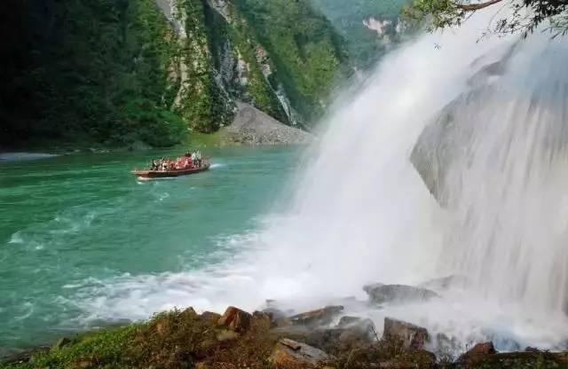 狐狸的旅程